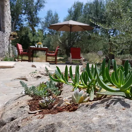 Holiday home Strpuncina