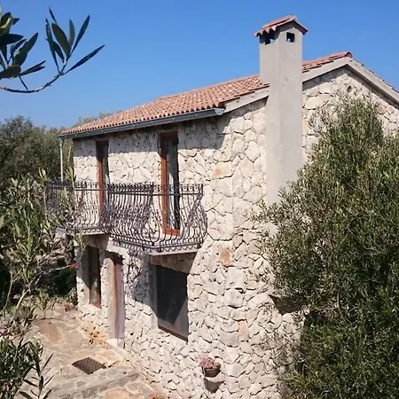 Strpuncina *