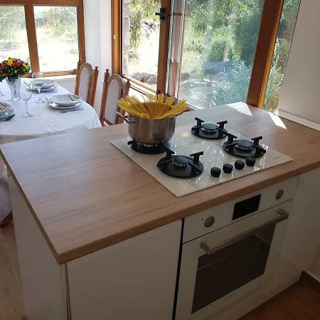 Strpuncina Holiday home *
